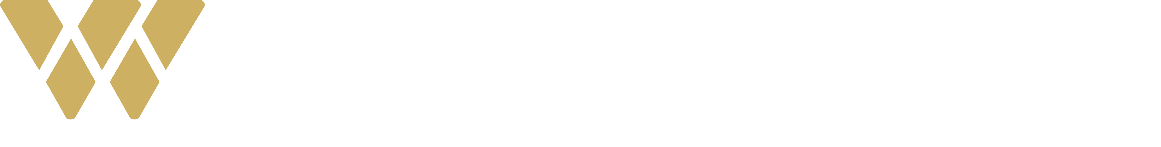 WealthComply